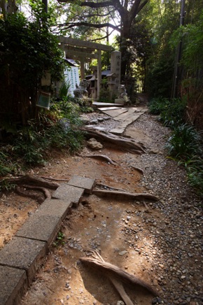 Kyoto